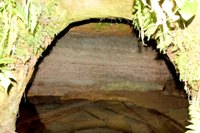 三芳地区池之内に残されている頼朝の隠れ井戸