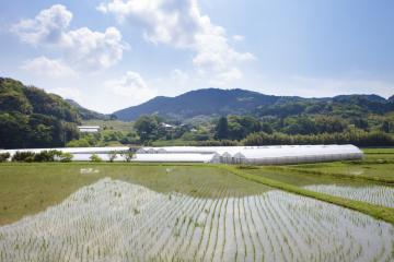 田園風景