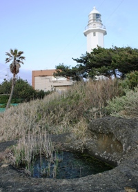 野島崎公園にある盃（さかずき）の池