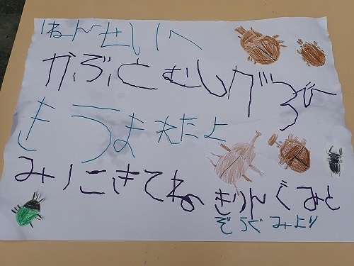 お手紙
