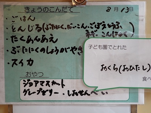 献立