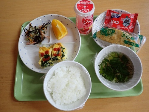 給食