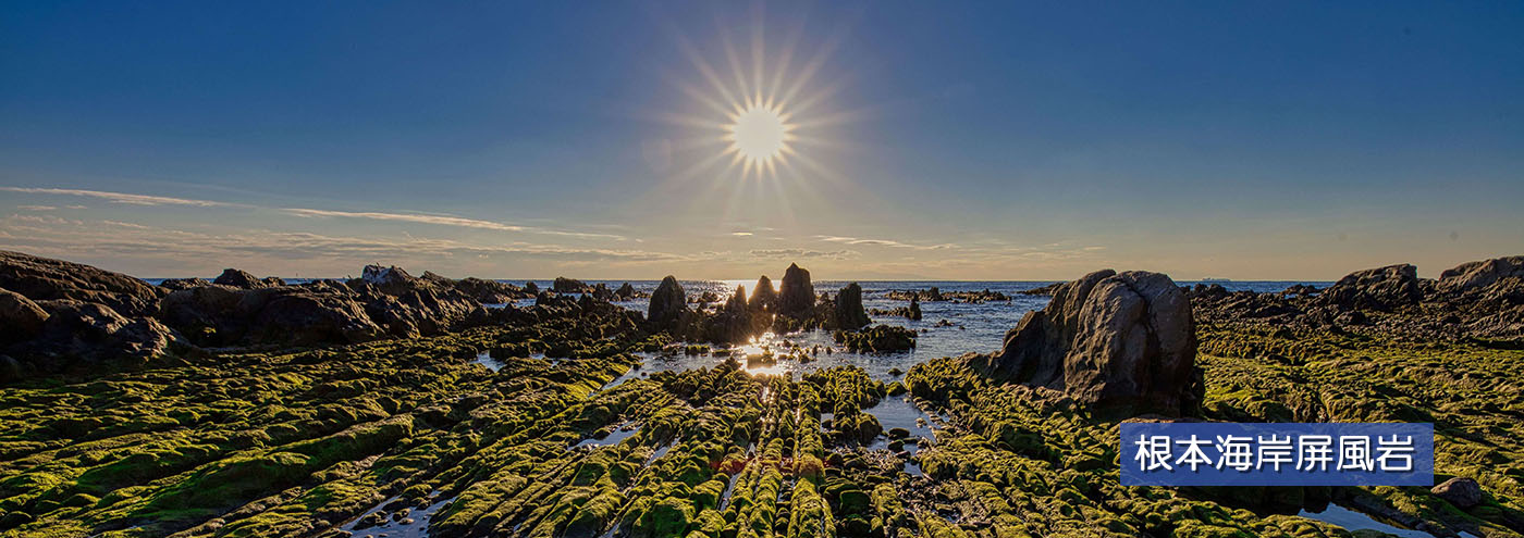 根本海岸屏風岩